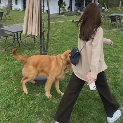 怪奇大厦